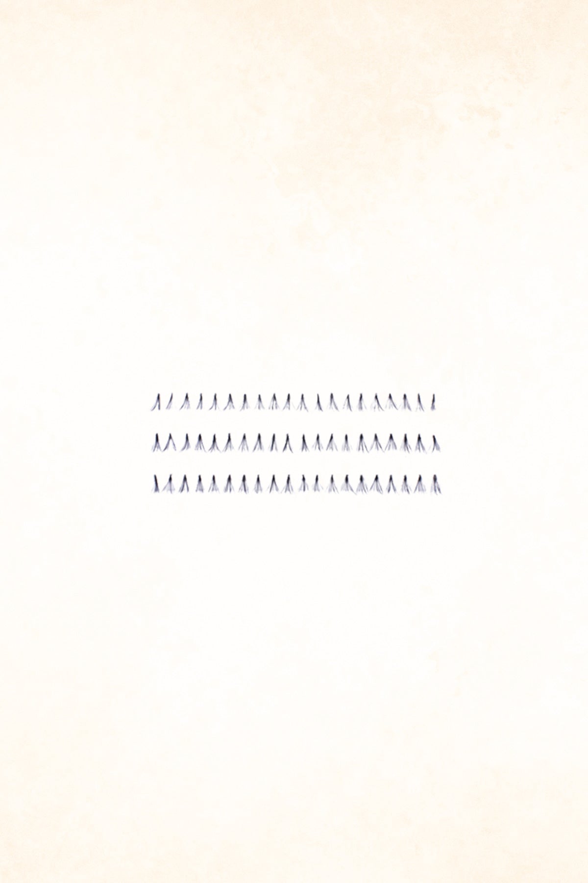 Monda Studio - Knot Free Flare Short Black